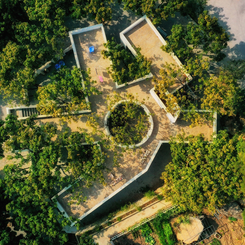 Construindo com árvores: repensando a relação da arquitetura com o local