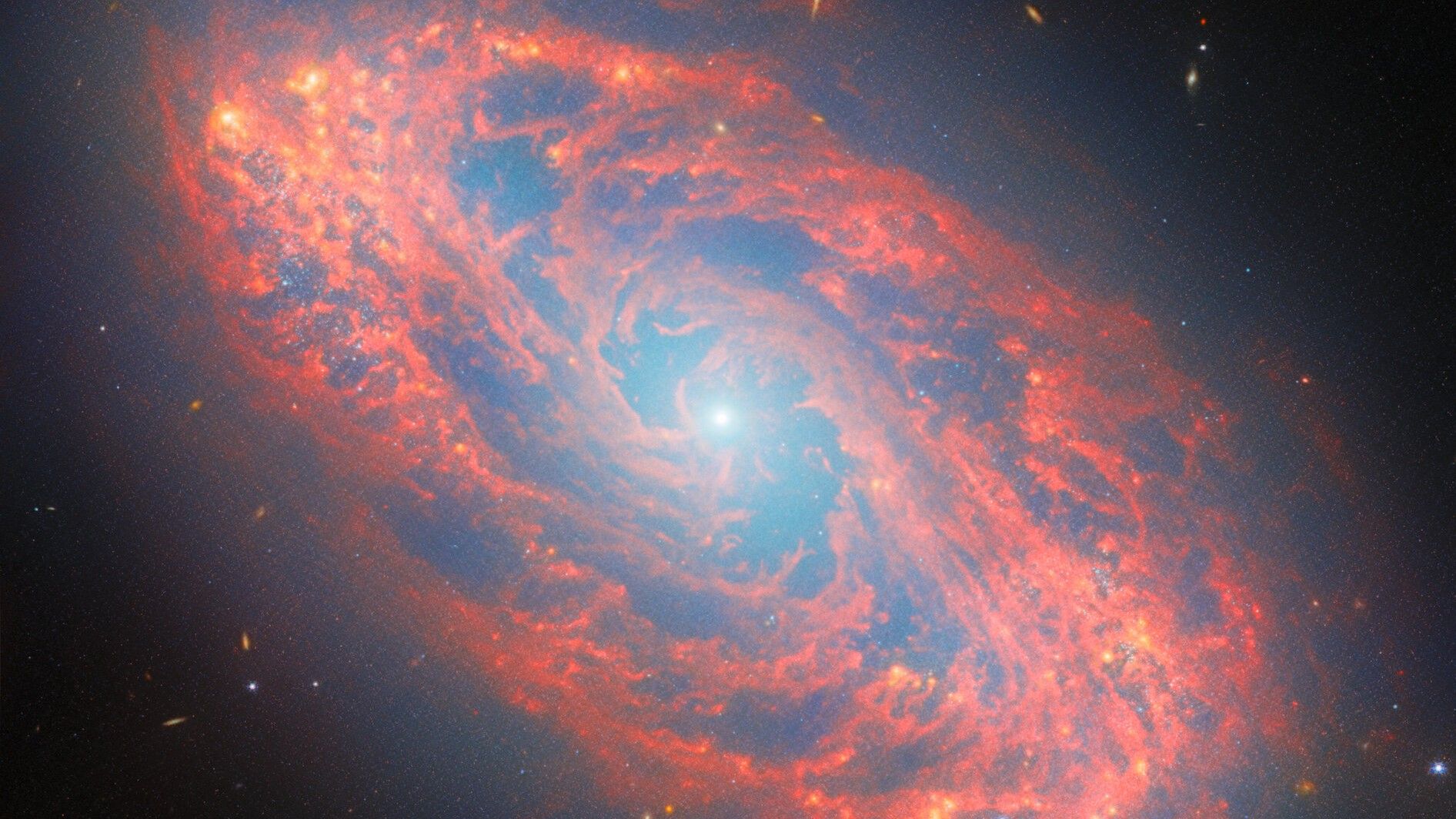 Espetacular galáxia espiral revelada pela foto do dia do Telescópio Espacial James Webb de 4 de março de 2026