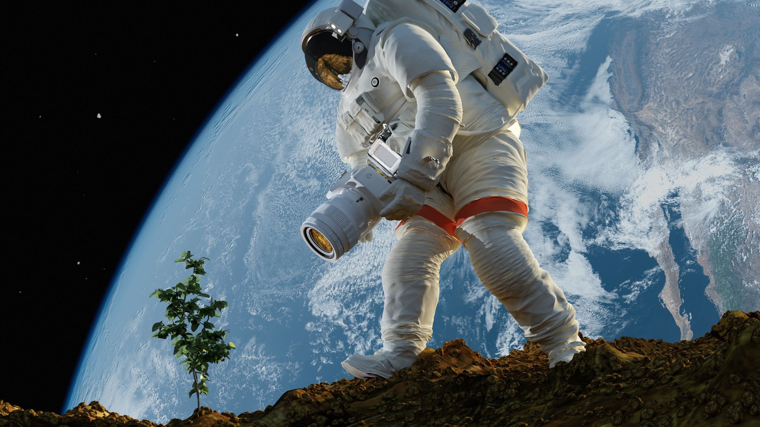 Fazendo homus na lua? Cientistas acabaram de cultivar grão de bico em terra lunar simulada