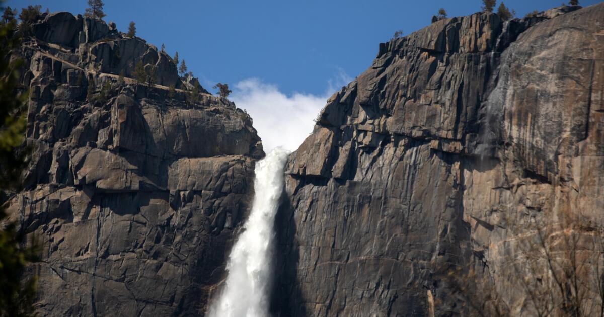 Parques nacionais da Califórnia estabeleceram recorde de público, apesar da polêmica
