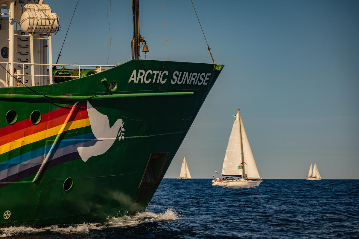 Por que o Greenpeace está enviando um navio para ajudar a Flotilha Global Sumud a navegar para Gaza