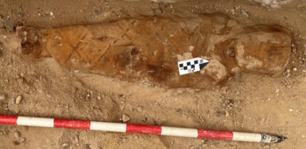 Fragmento da Ilíada encontrado em múmia da era romana – The History Blog