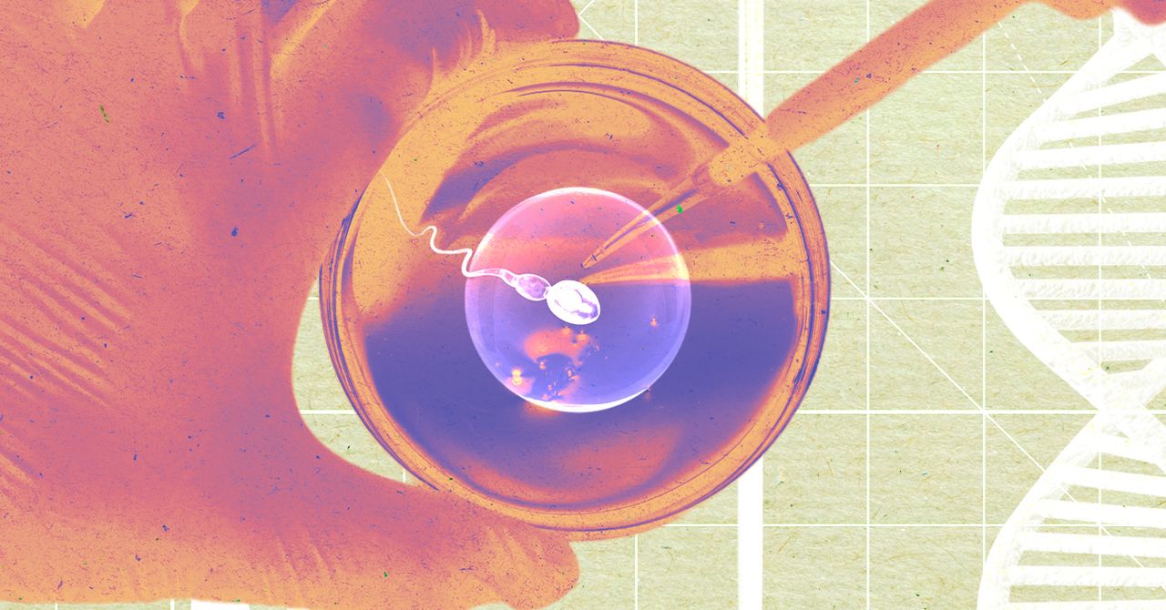 Uma startup afirma que cultivou esperma humano em um laboratório – e o usou para produzir embriões