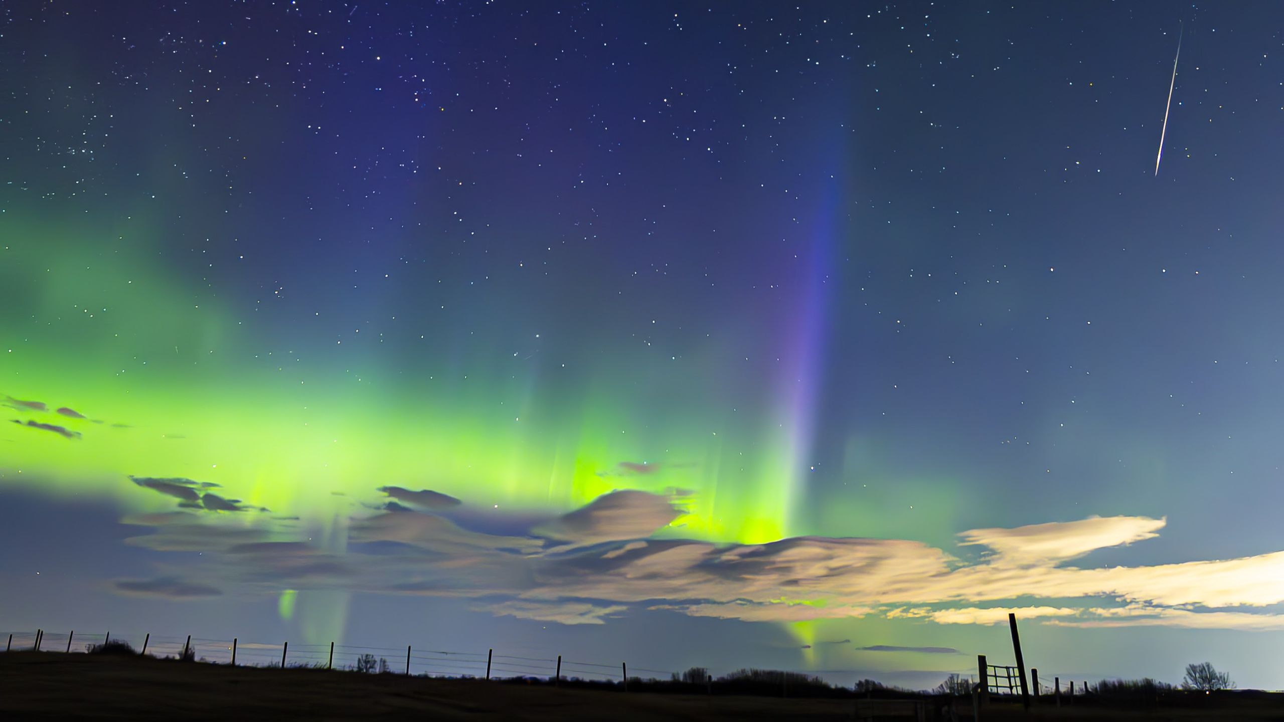 Fotos espetaculares da chuva de meteoros Lyrid de 2026 capturadas da Terra e do espaço