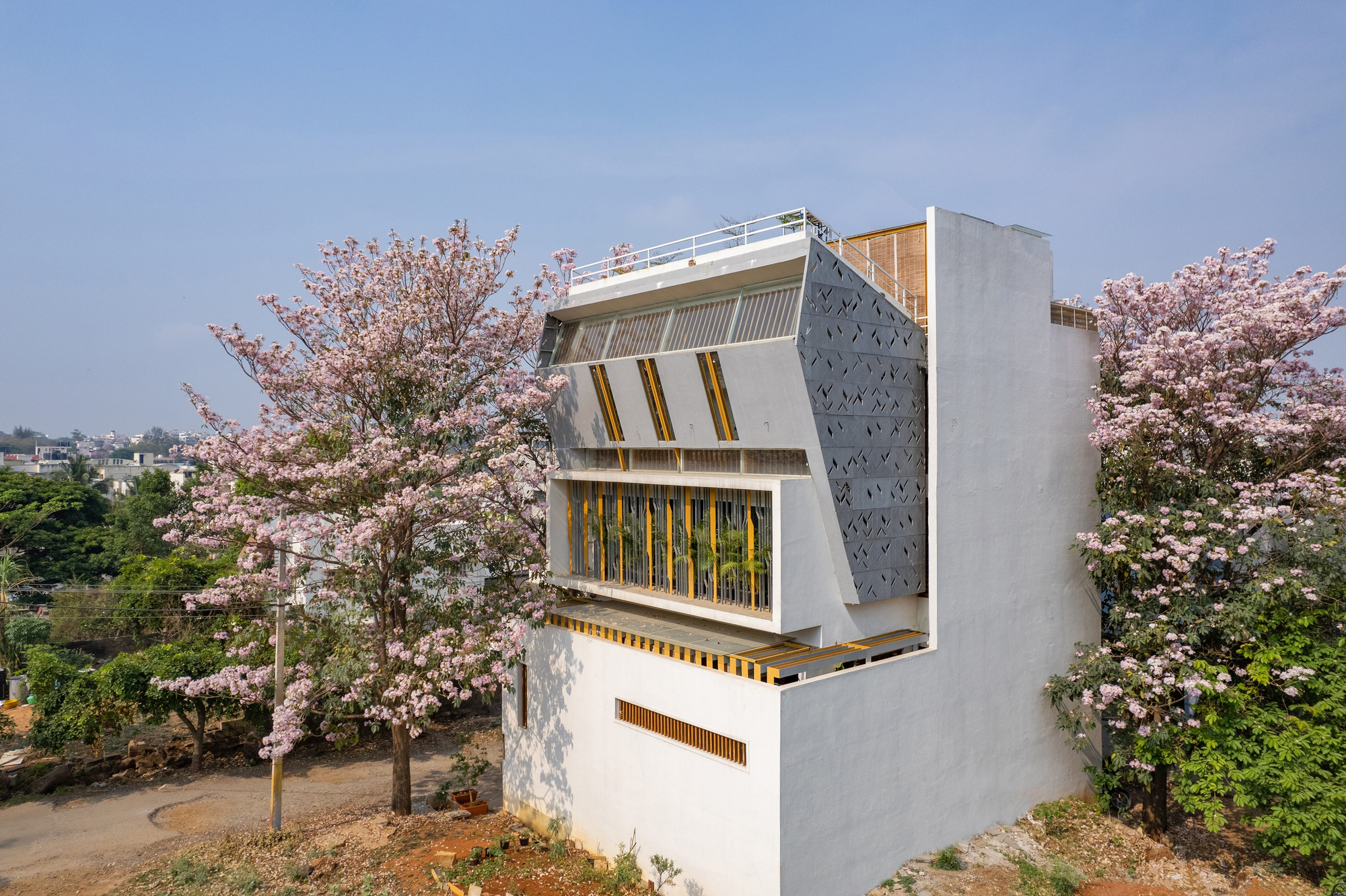The Blooming Haus/Studio WhiteScape