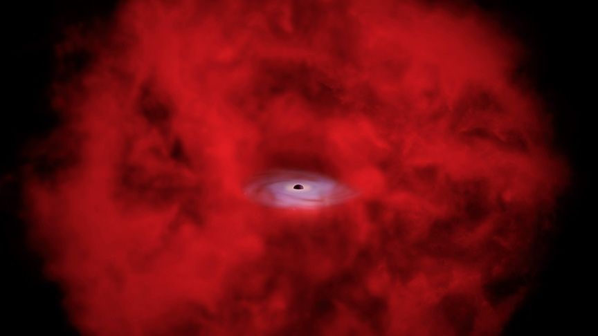 Os estranhos pequenos pontos vermelhos do Telescópio Espacial James Webb podem realmente ser ‘estrelas de buraco negro’, sugerem dados de raios-X