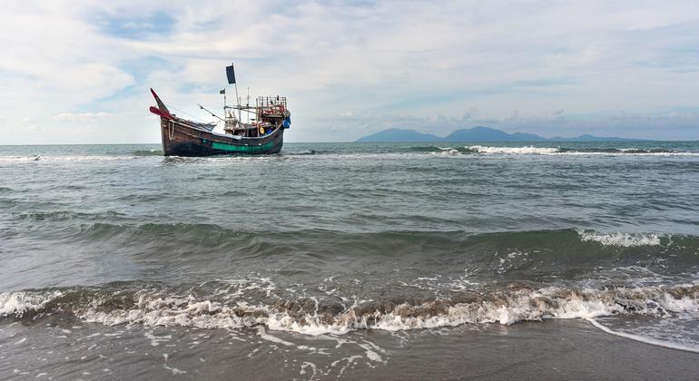 Com segurança no mar em pauta, OMI alerta para crises em Ormuz e Somália