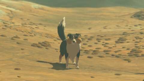 Filme Legend Of Zelda pode apresentar um garoto muito bom de Breath Of The Wild