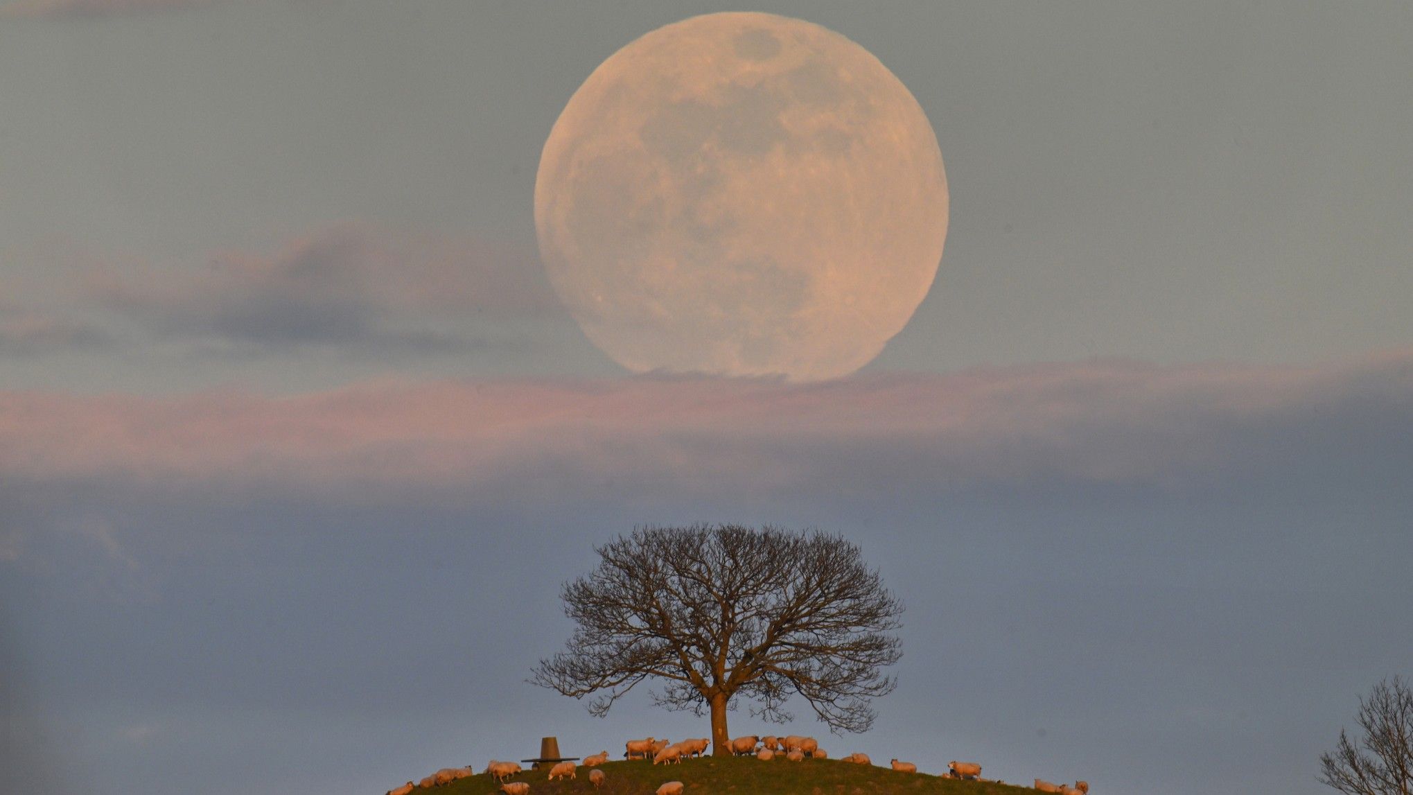 Como ver o nascer da lua cheia perfeito – bem a tempo para o show da Lua Azul em 30 de maio