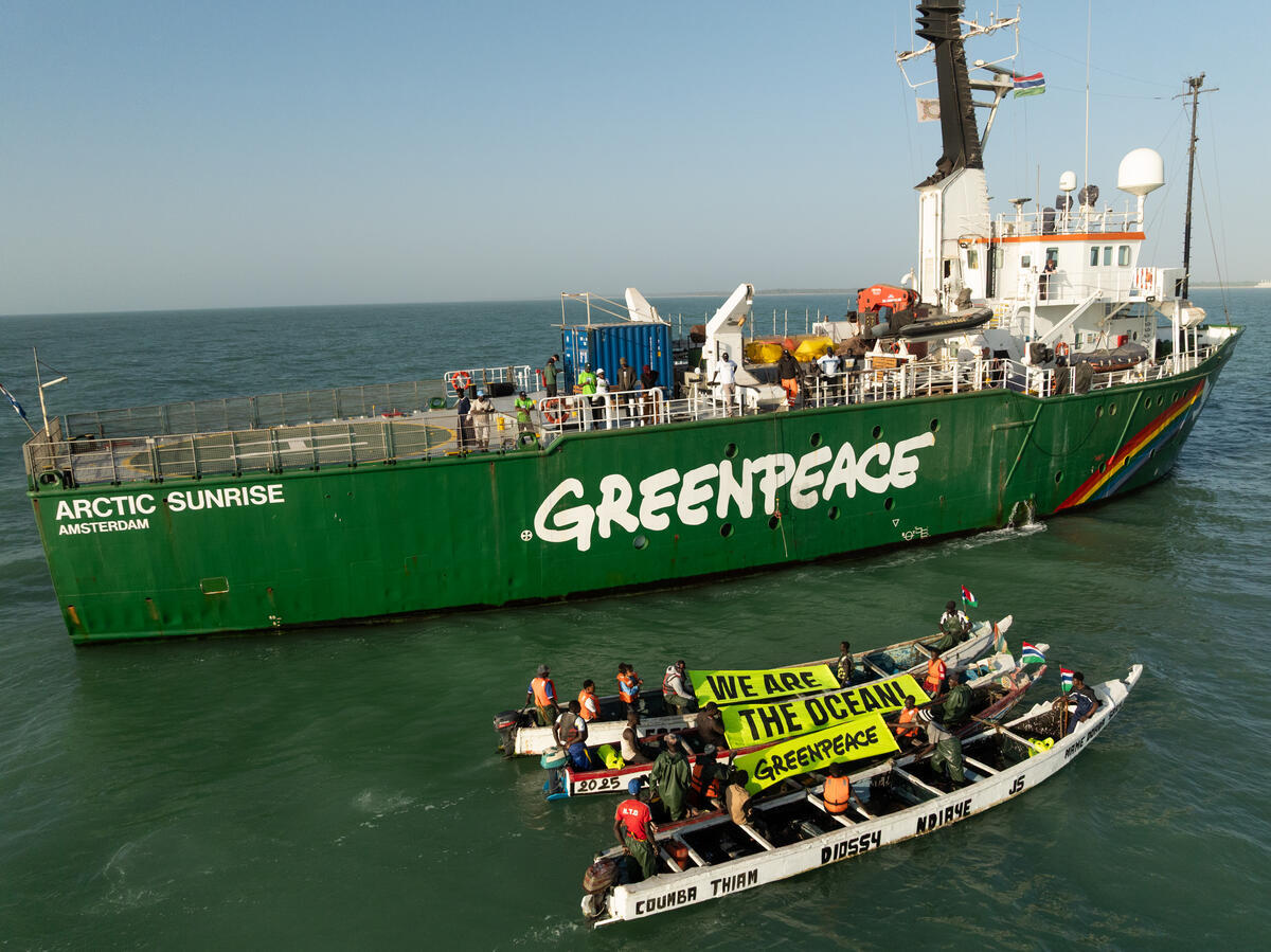Greenpeace lança expedição histórica ao Ártico em águas profundas, com transmissão ao vivo a partir de 3.000 m de profundidade