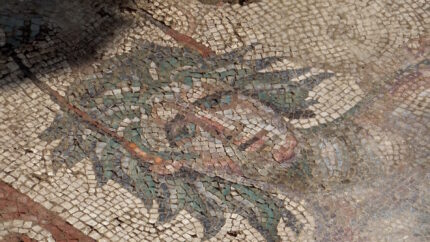 Mais mosaico Zile detalhadamente descoberto – The History Blog