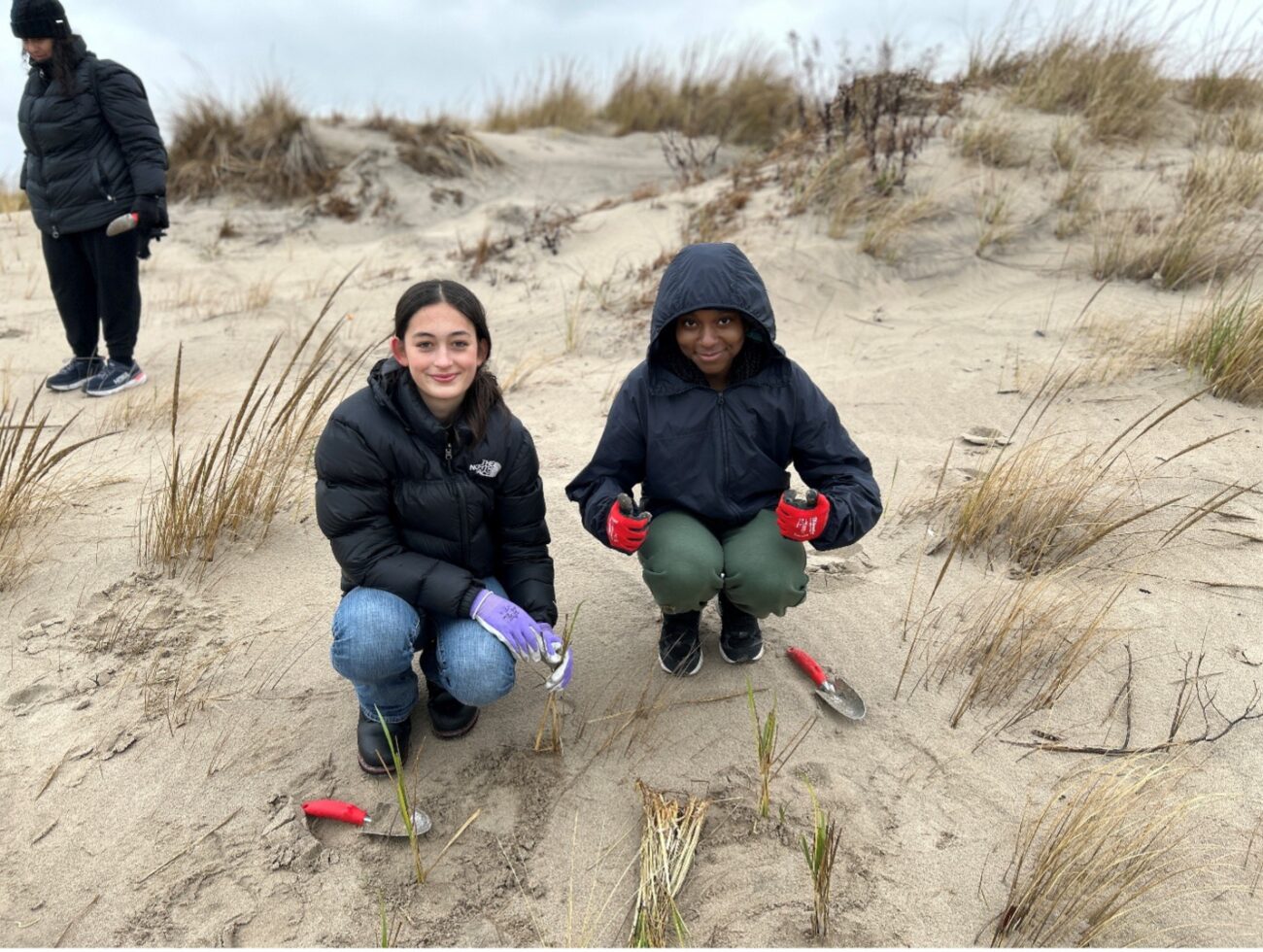 As dunas de Coney Island podem proteger contra outra areia? – Estado do Planeta