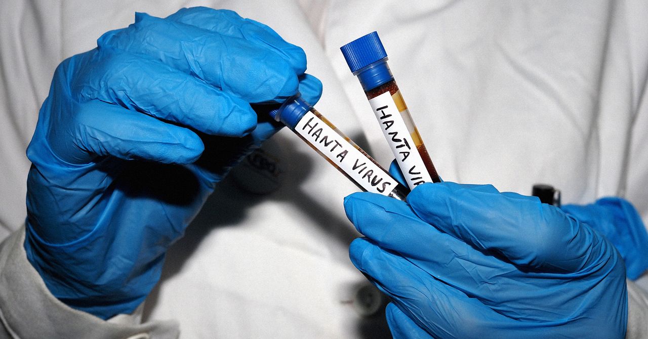 Todas as suas perguntas sobre hantavírus, respondidas por um especialista em doenças infecciosas