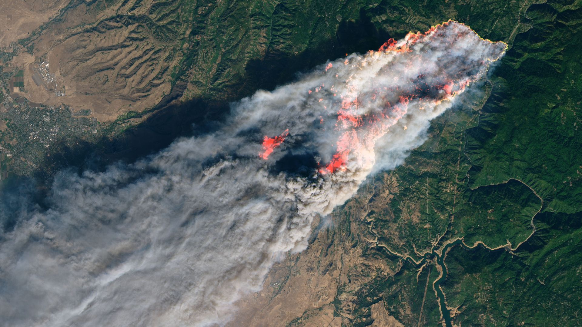 Milhares de mortes por ano causadas por poluentes invisíveis dos incêndios florestais, mostram dados de satélite