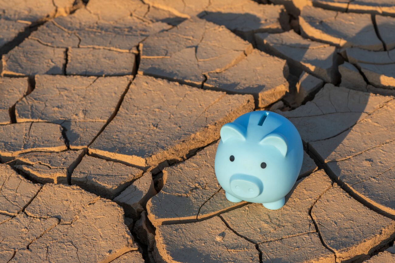 Financiamento Climático na Era Multipolar – Estado do Planeta