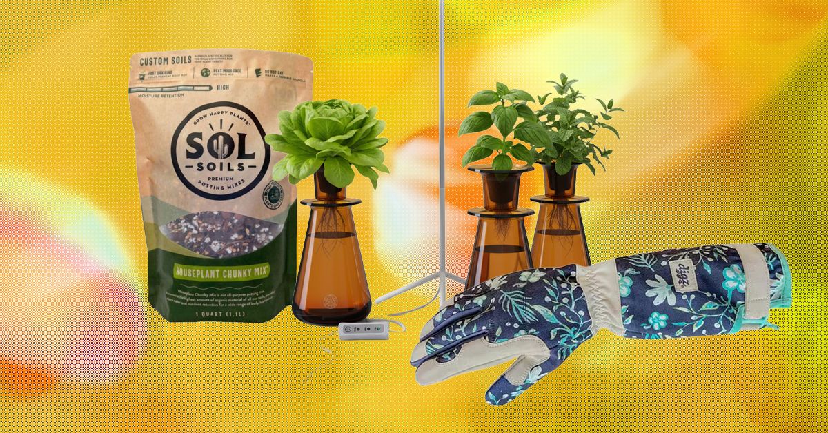 19 melhores presentes para amantes de plantas e jardineiros (2026)