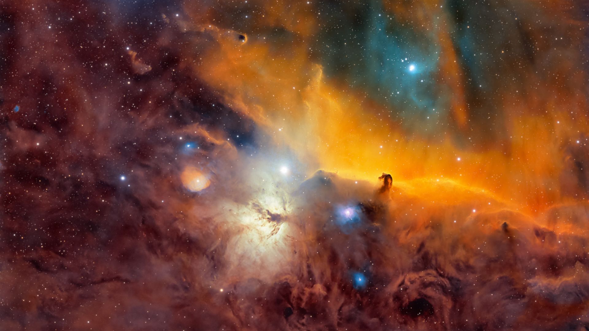 Astrofotógrafo passa 115 horas capturando a Nebulosa Cabeça de Cavalo com telescópio de quintal