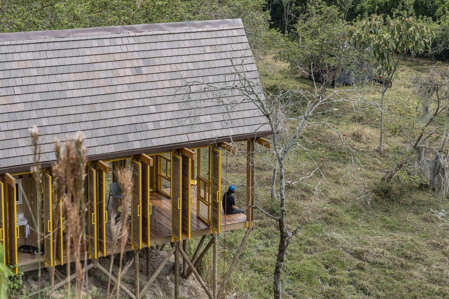 Acima da água, encosta e floresta: arquitetura elevada na América Latina