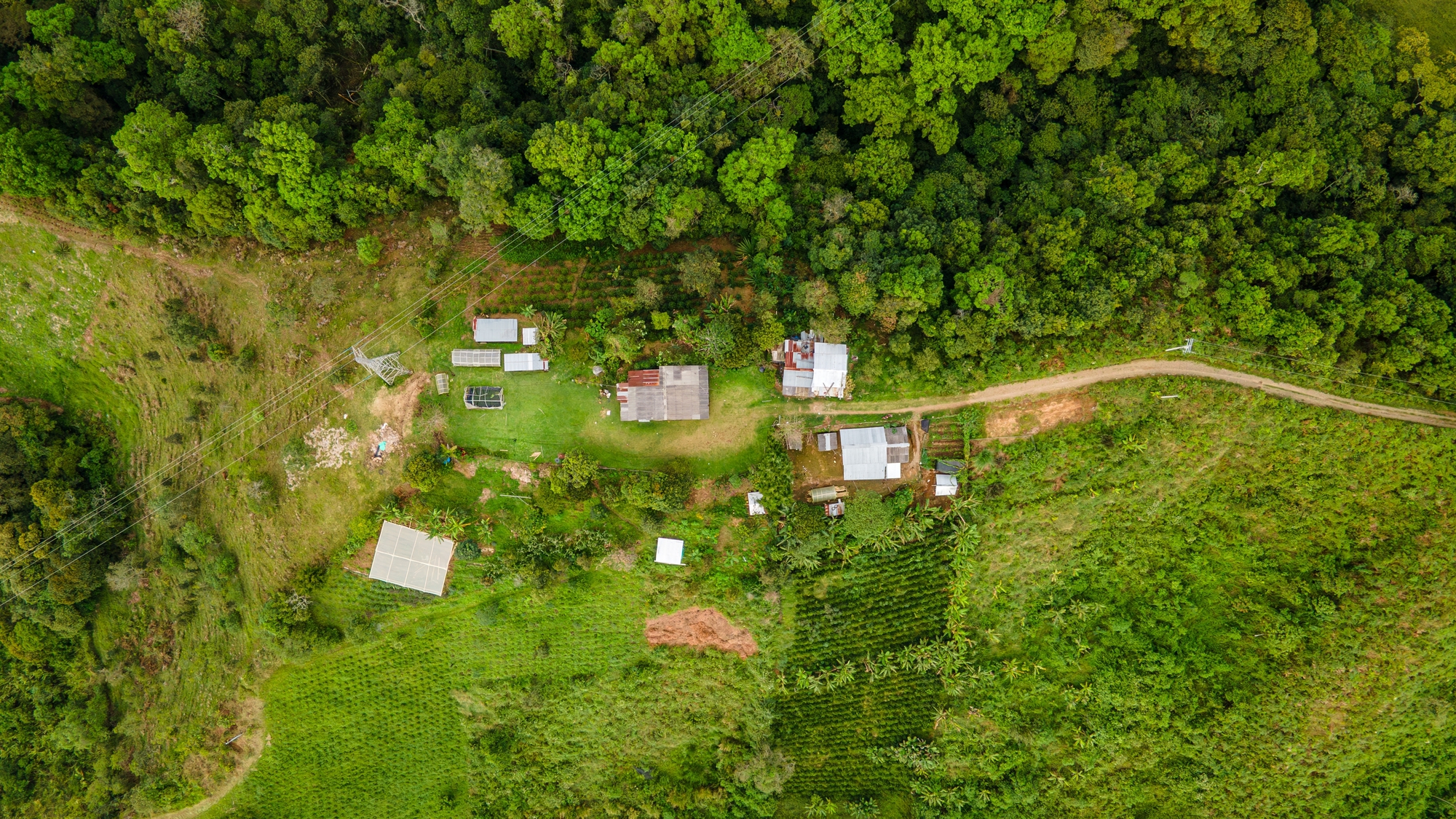Construindo Autonomia: Comunidades Latino-Americanas Trazendo os Sistemas da Vida para a Arquitetura