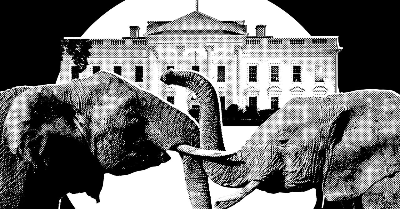 É oficialmente época eleitoral no Trumpworld