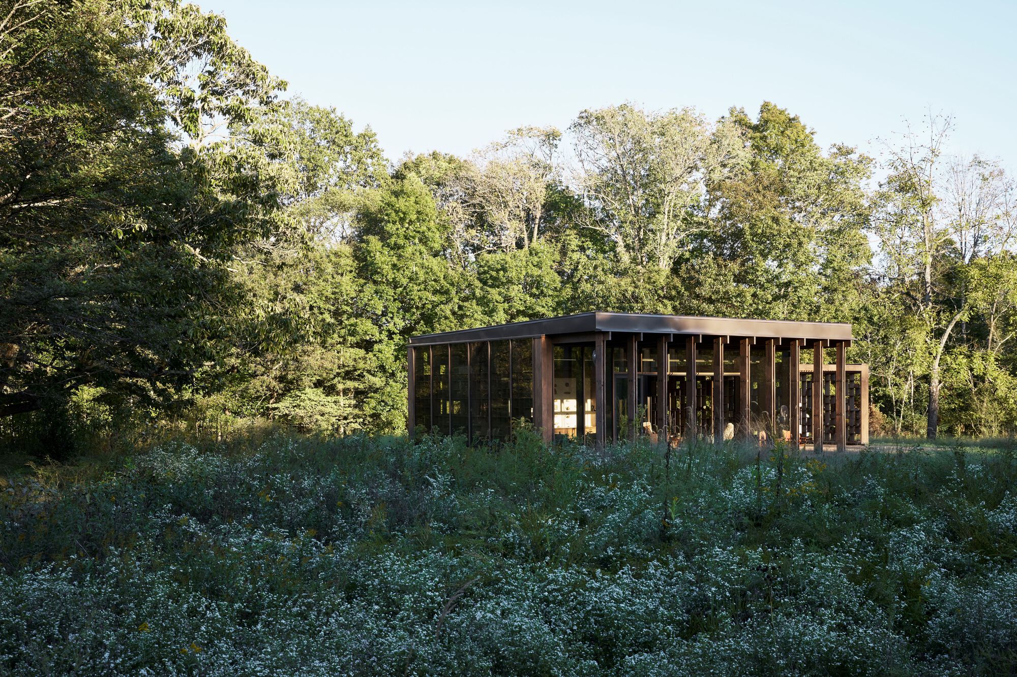 Pavilhão de Pedra / Pfeffer Torode Architecture