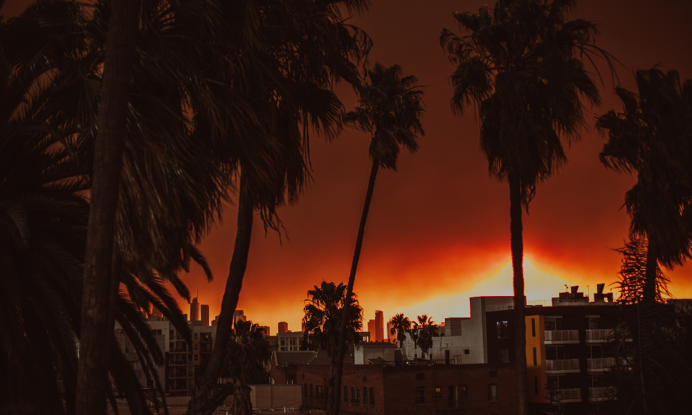 State Farm enfrenta nova pressão dos sobreviventes do incêndio