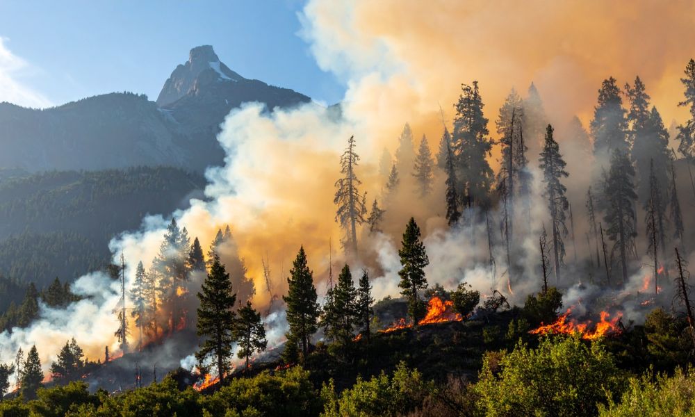 Seis anos consecutivos acima de US$ 100 bilhões – e o ambiente de seguros não está ficando mais simples