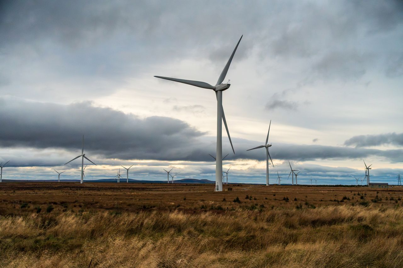 Os compradores de energia renovável mantêm as cartas à medida que o apetite das seguradoras atinge níveis elevados