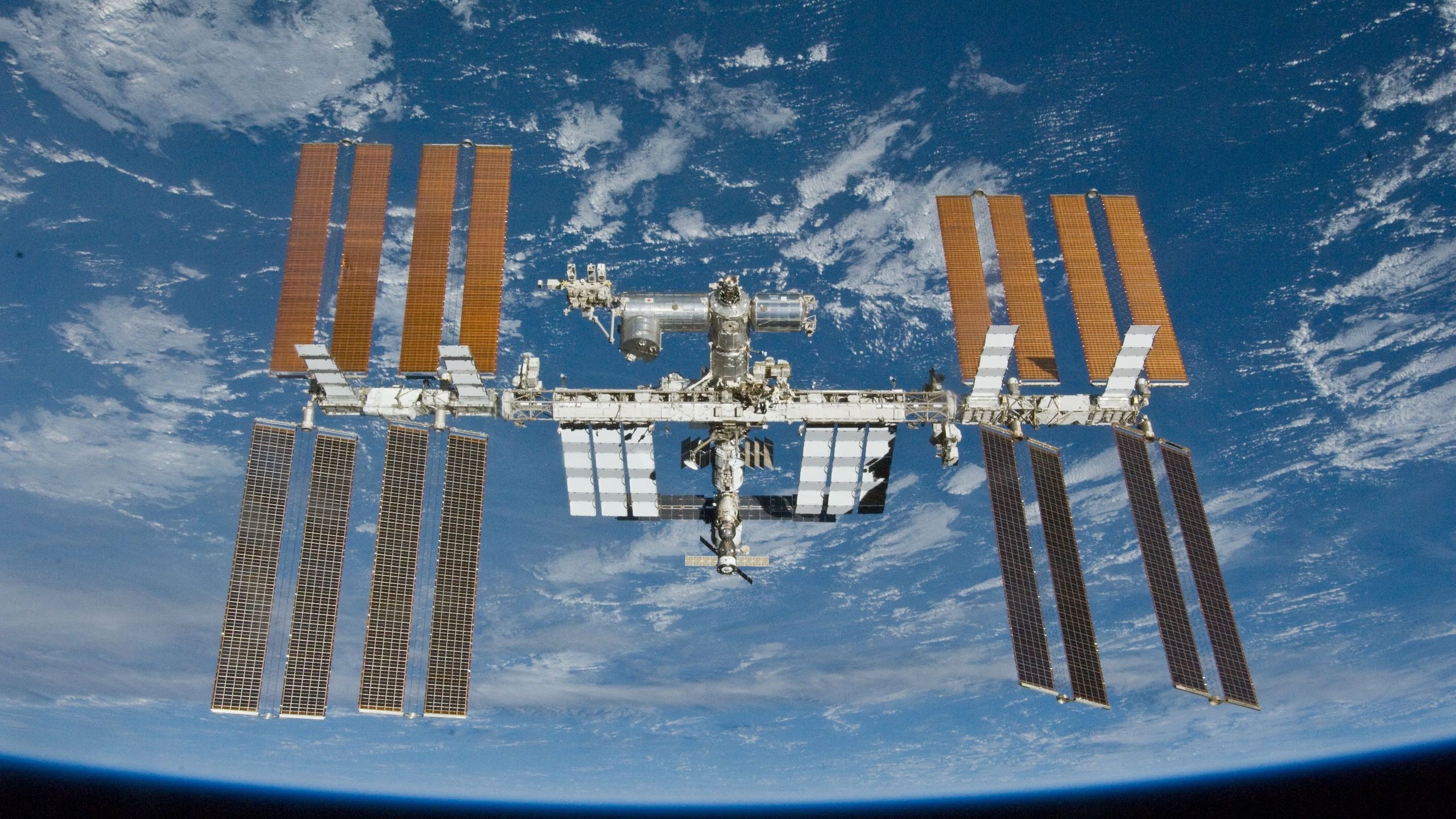 Avanço da medicina espacial? Tecido de rim e fígado bioimpresso na Terra pela primeira vez