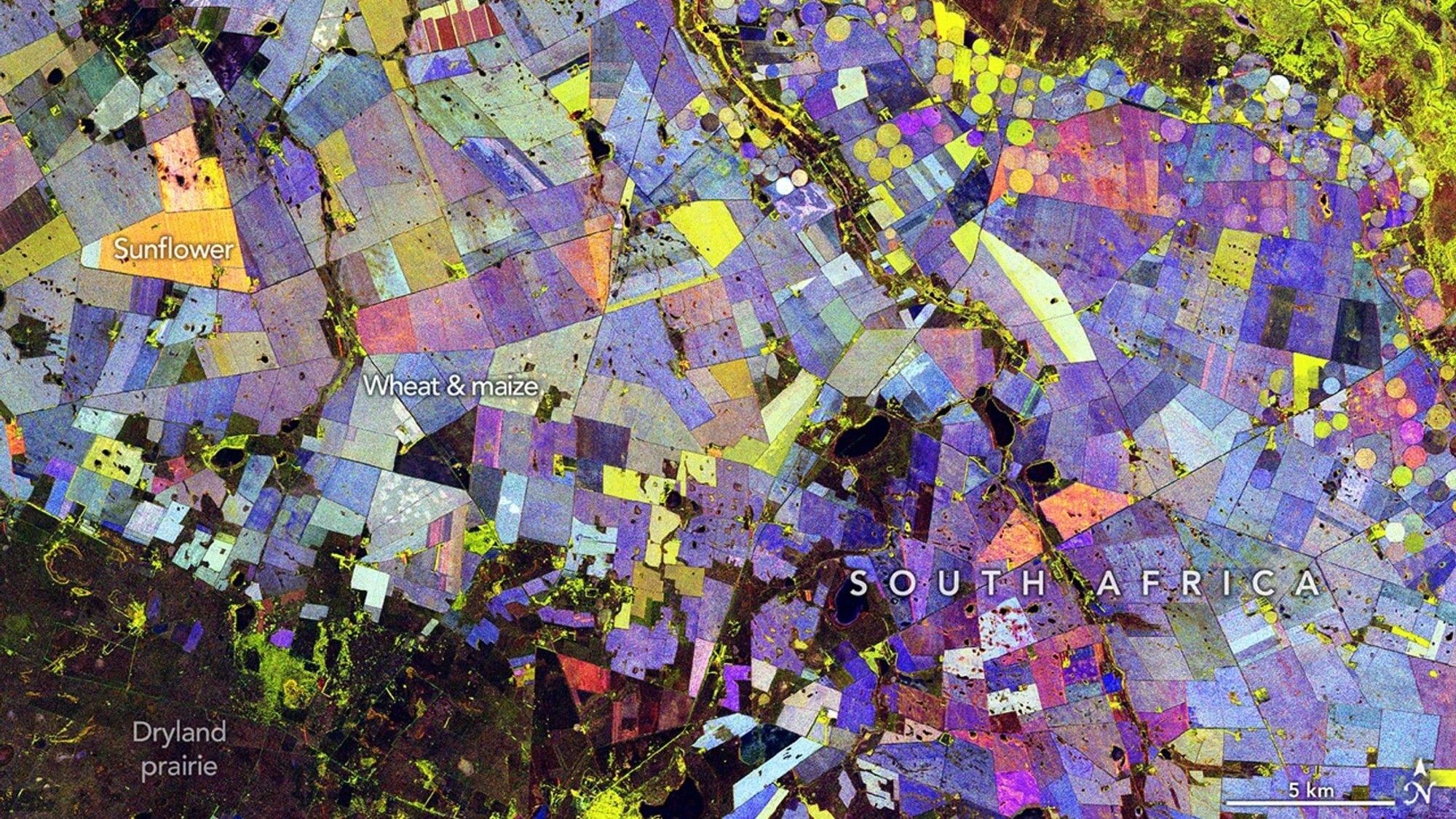 Uma colcha de retalhos de arco-íris mostra a agricultura vista do espaço, foto do dia de 4 de junho de 2026
