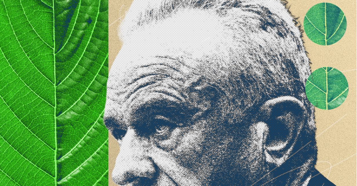 A Guerra Civil Kratom está esquentando e MAHA escolheu um lado