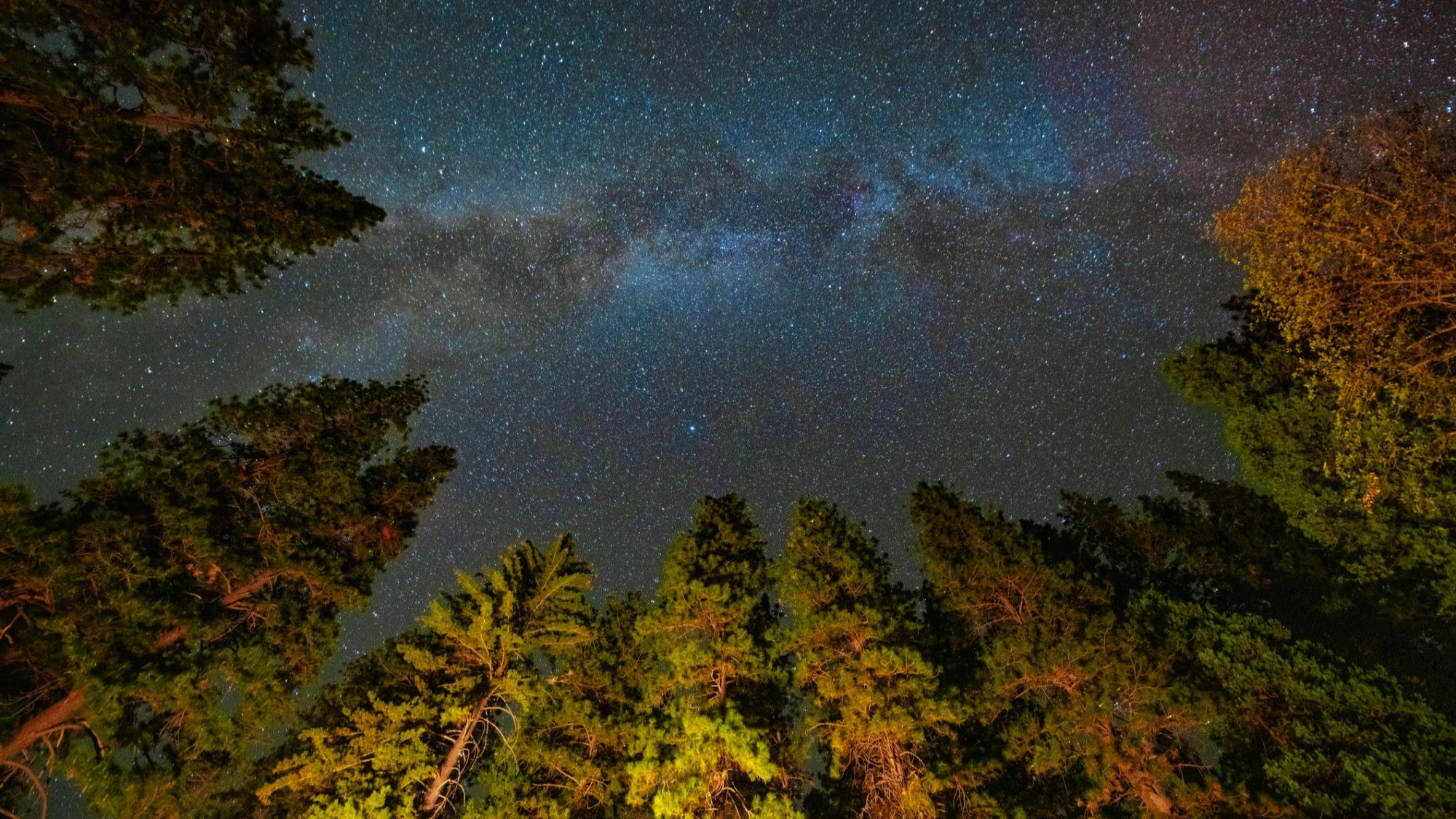 A poluição luminosa pode estar apagando milhões de dólares em valor nos parques de céu escuro dos EUA