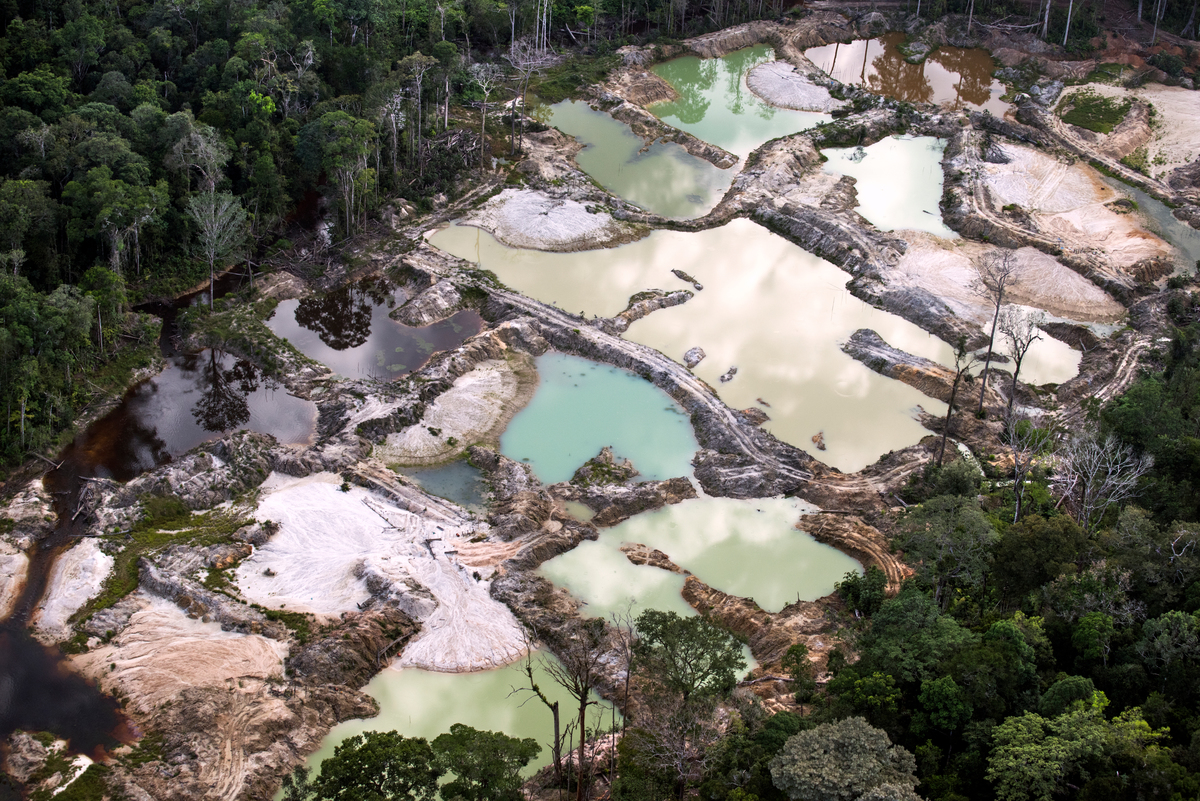 Investigação do Greenpeace Brasil detalha lavagem em grande escala de ouro ilegal da Amazônia no Canadá