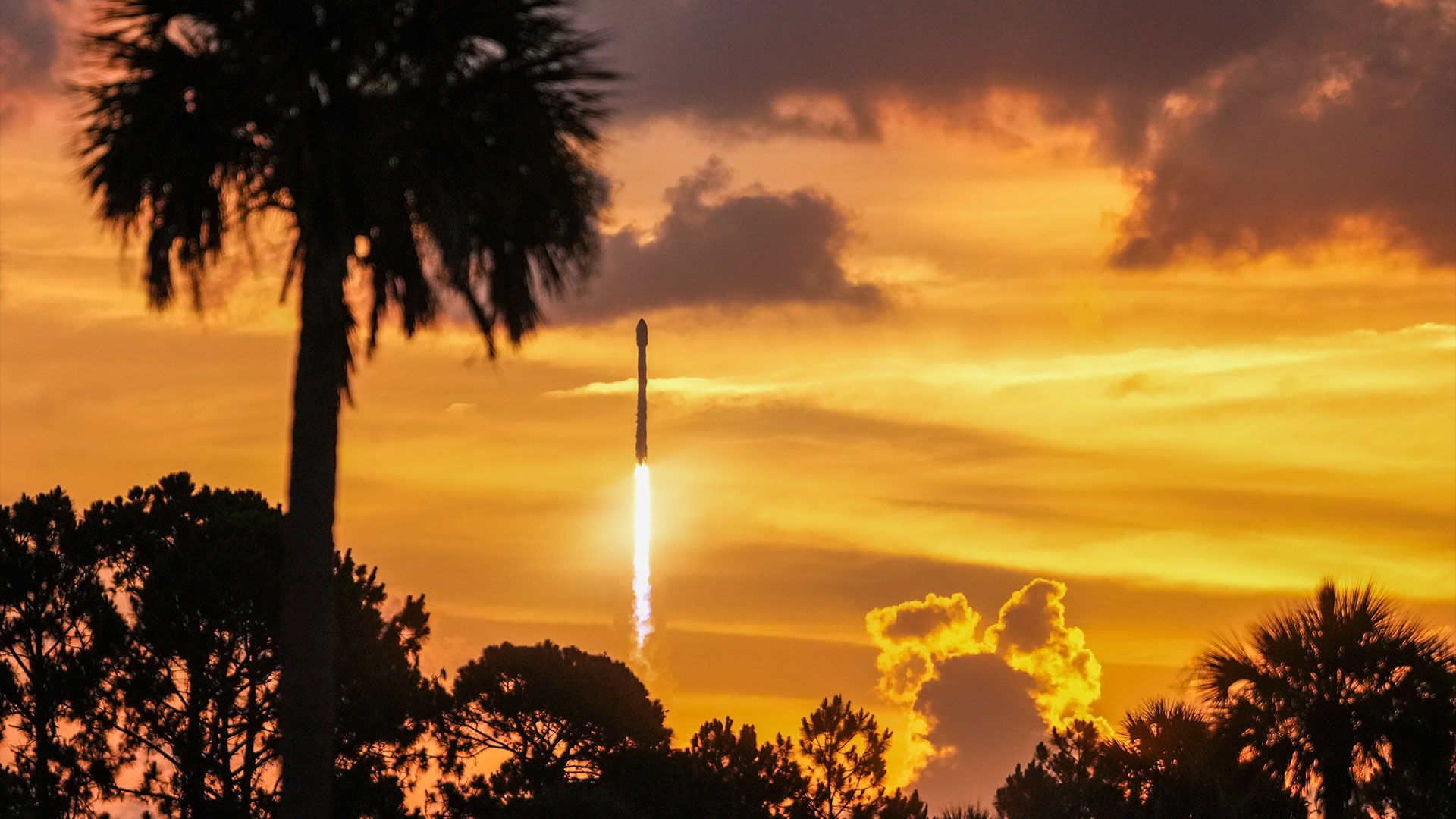 SpaceX lança missões Starlink consecutivas de ambas as costas com 19 horas de intervalo (fotos)