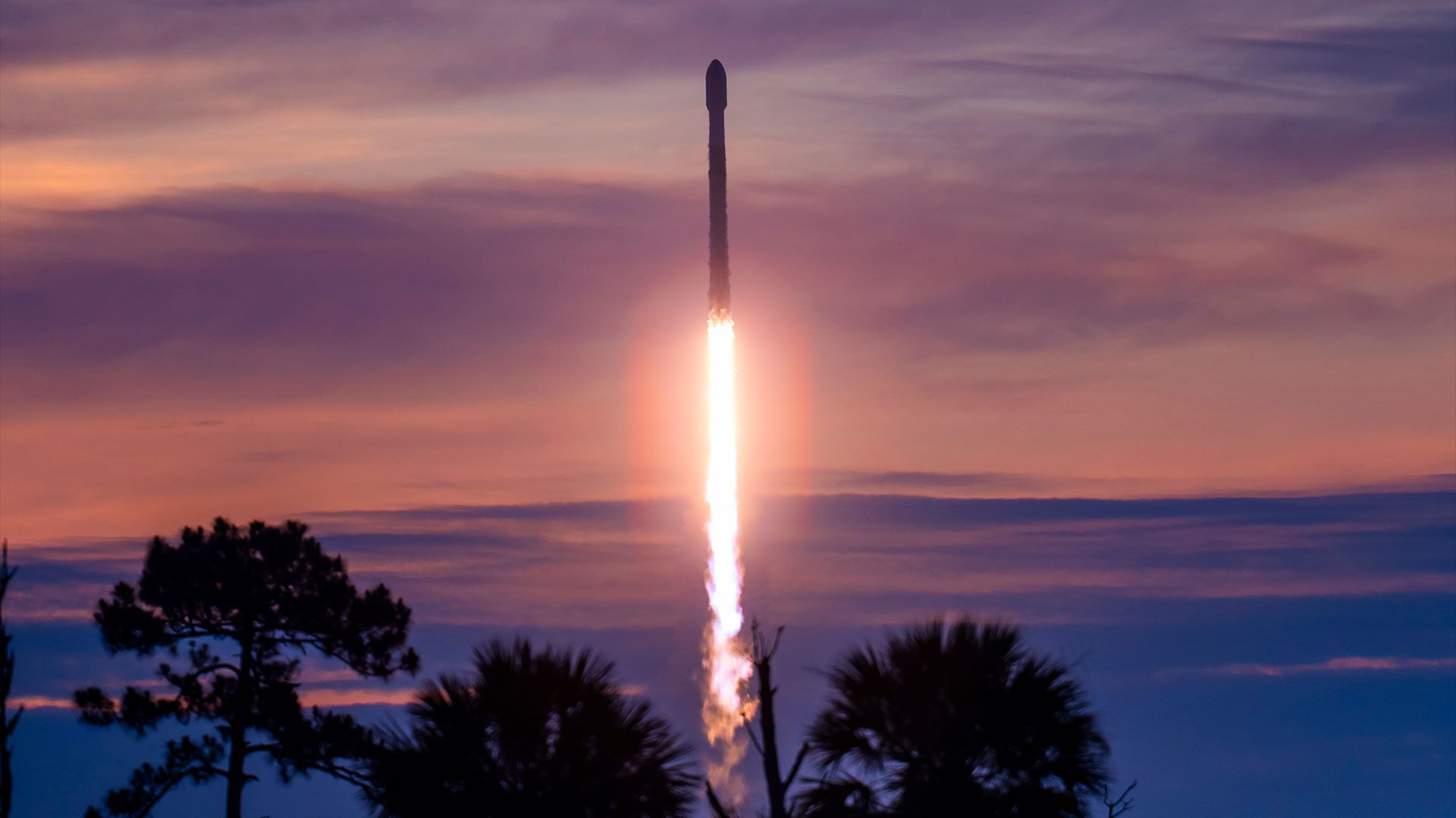 Assista ao lançamento do foguete SpaceX Falcon 9 pela 36ª vez, quebrando o recorde, no início de 9 de julho
