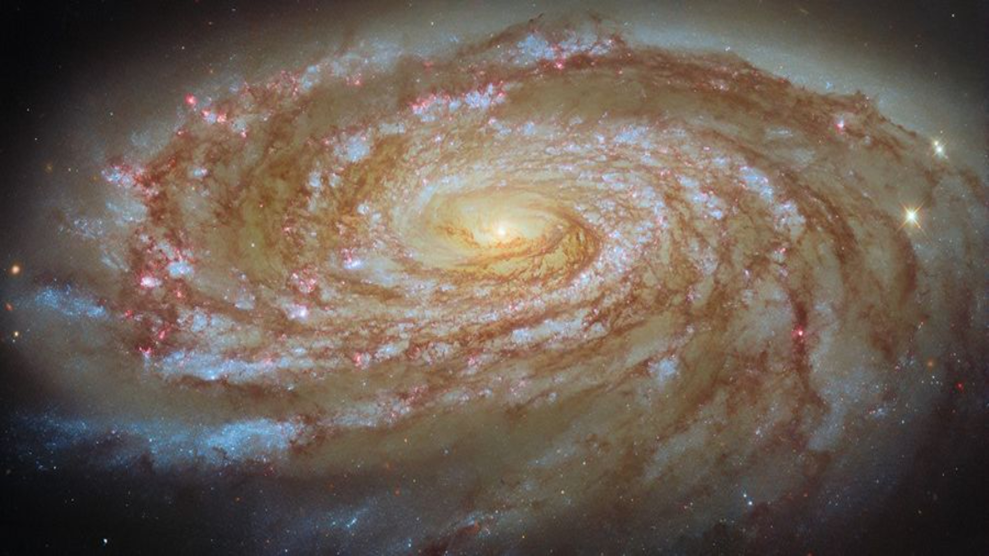 A galáxia espiral em turbilhão irá hipnotizar sua foto do dia de 10 de junho de 2026