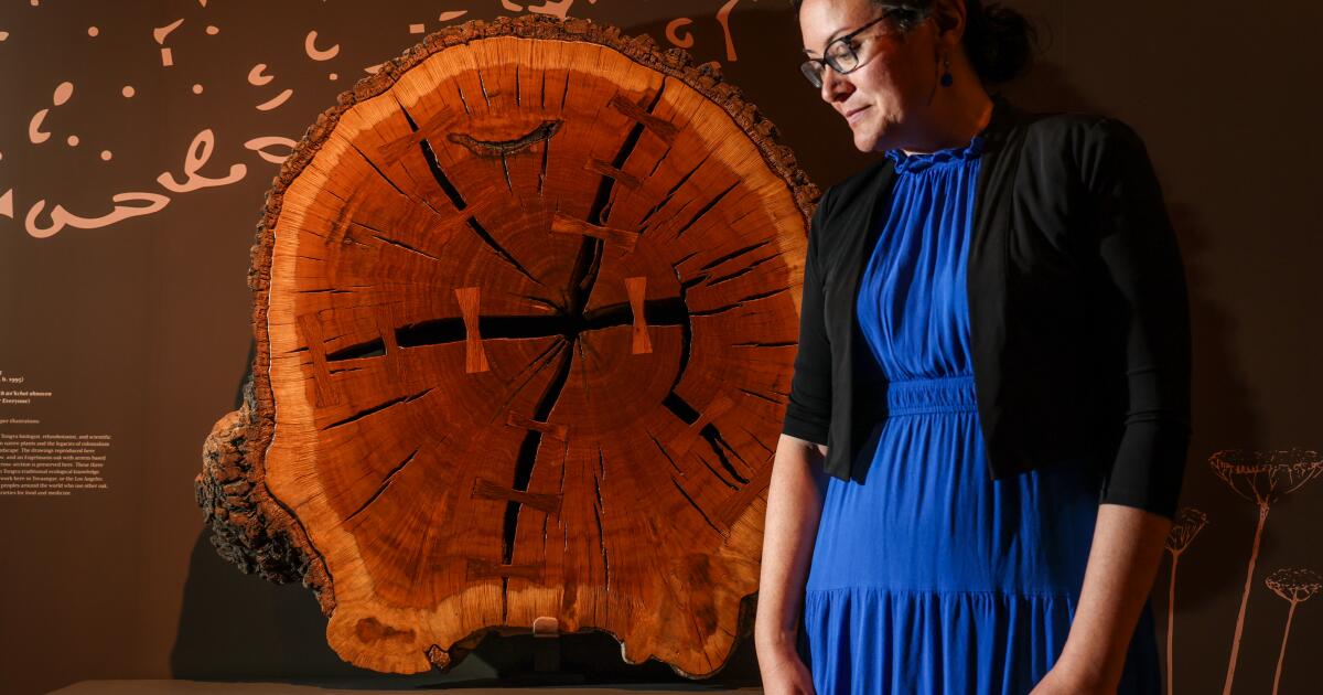 5 itens imperdíveis na exposição Huntington’s America 250