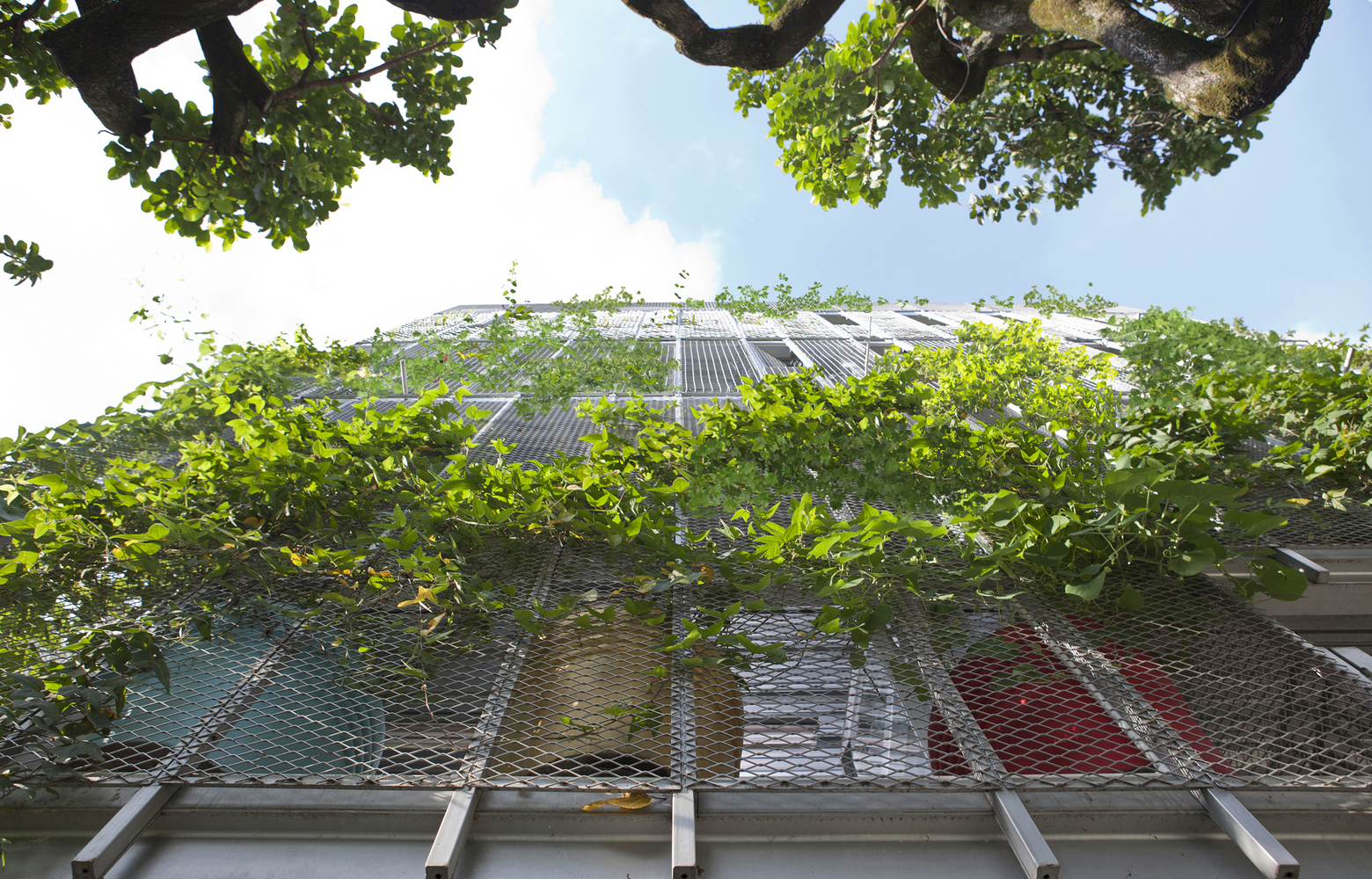 Quando as fachadas se tornam habitats: a arquitetura abrindo espaço para outras espécies