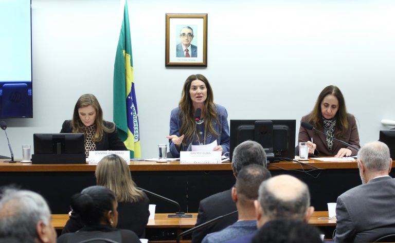 Fim das licenciaturas a distância divide opiniões em debate na Câmara – Notícias