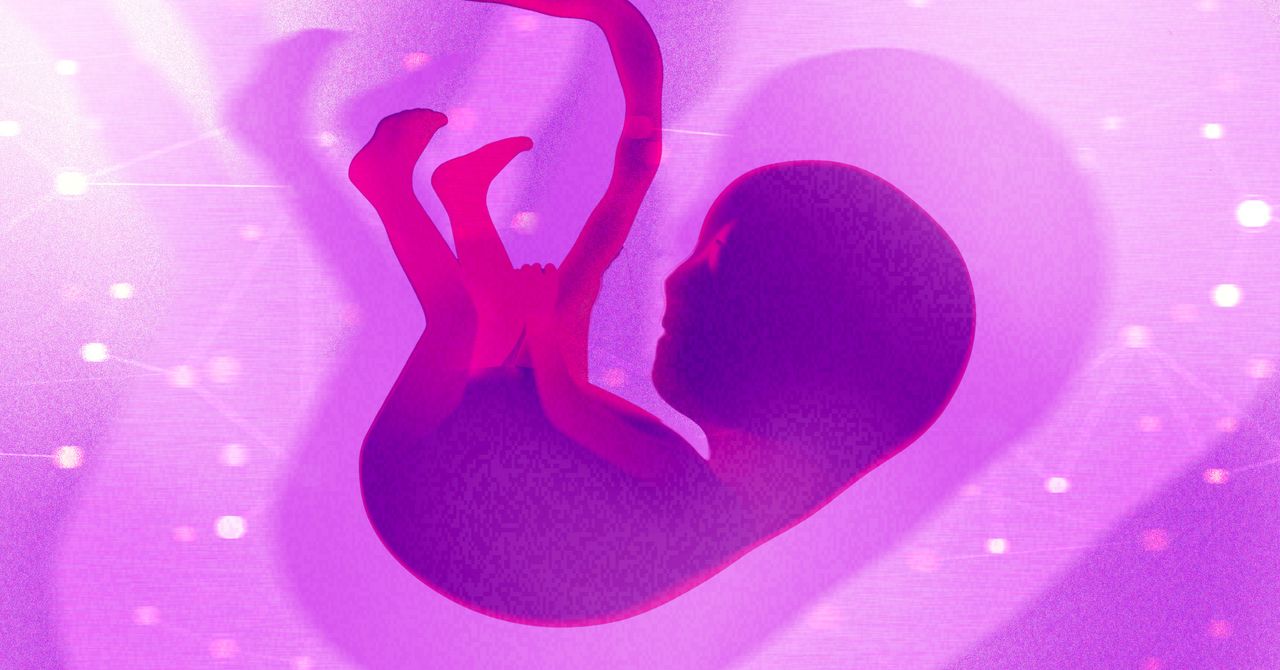 Um fundador da biotecnologia defende a questão moral da edição de genes em embriões humanos