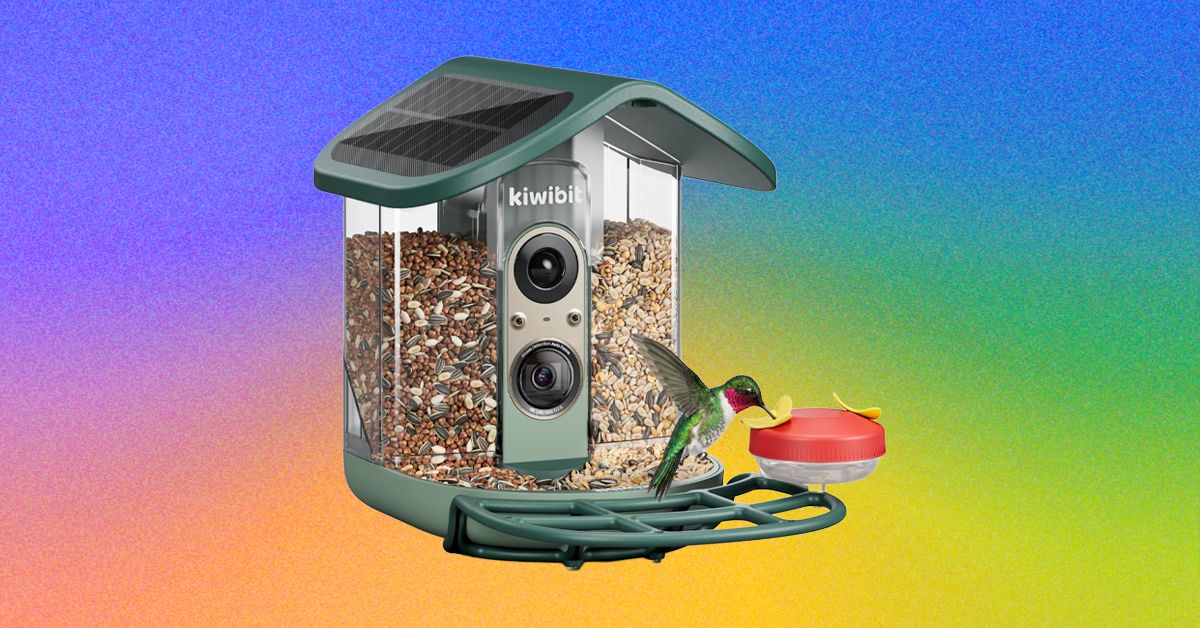 Análise do Kiwibit Bird Feeder 2 Pro: Premium, mas com acesso pago