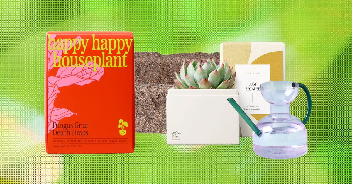 19 melhores presentes para amantes de plantas e jardineiros (2026)