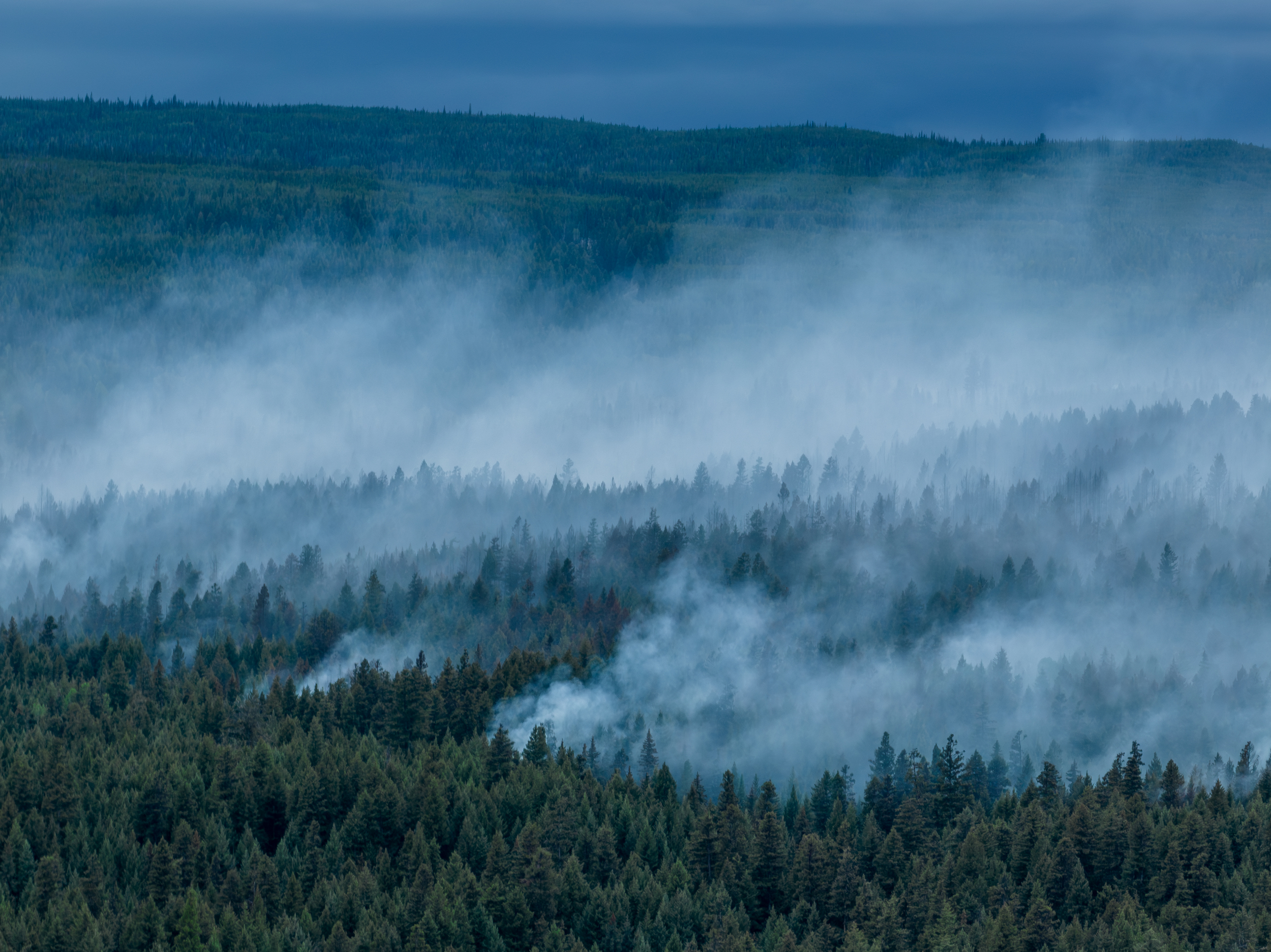 Onde doar agora: Ajuda mútua contra incêndios florestais em BC, NWT e norte de Ontário