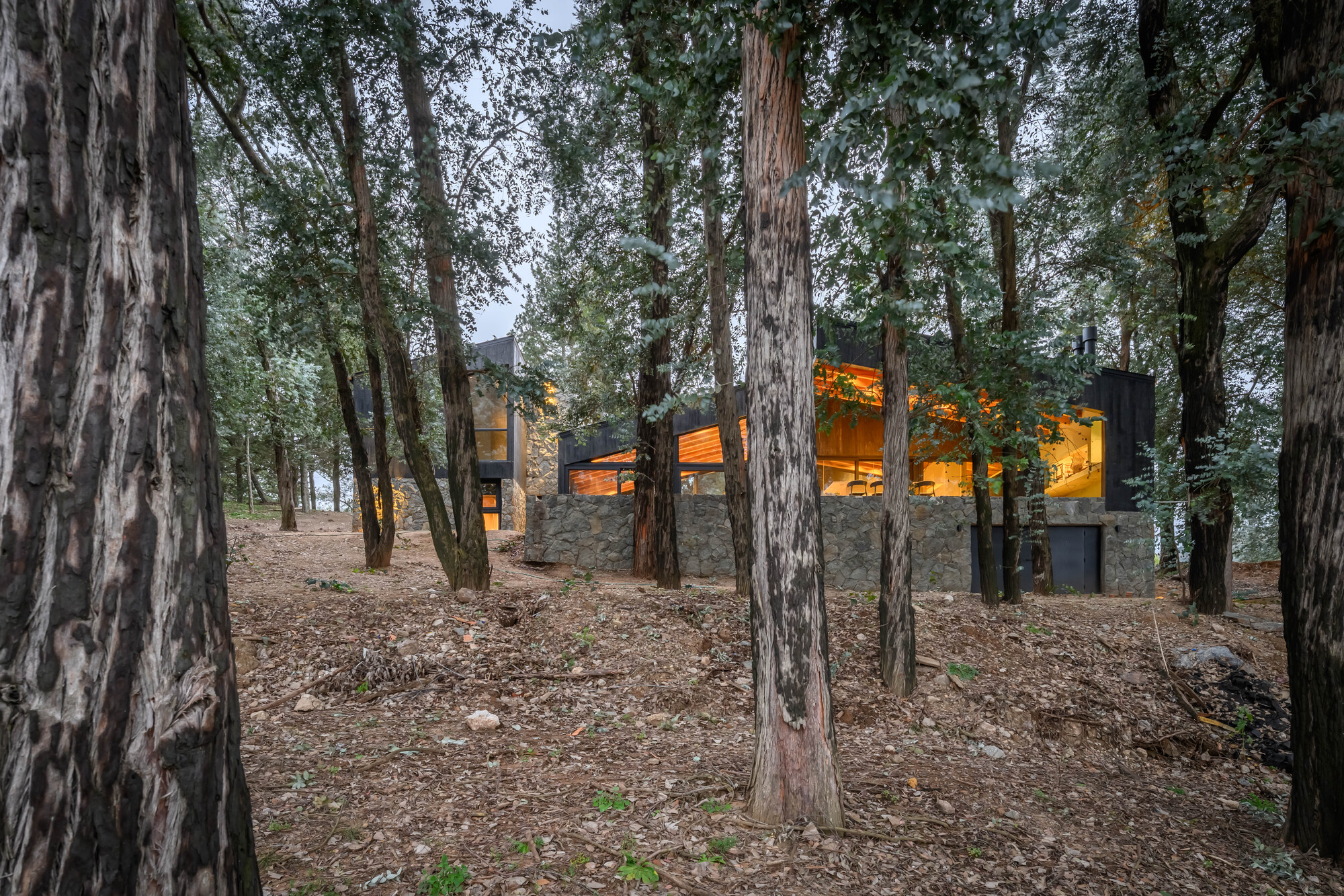 Casa La Negrita / Estúdio Palacios
