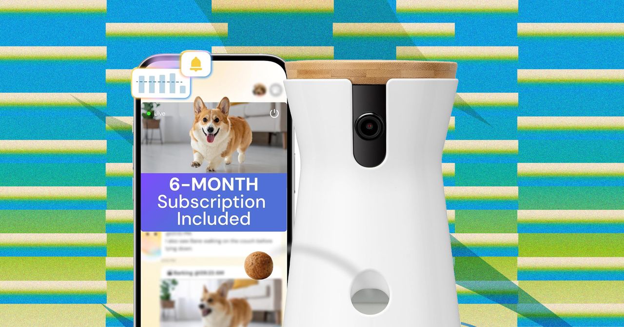 As melhores ofertas para animais de estimação no primeiro dia da Amazon em comedouros, caixas sanitárias e muito mais (2026)