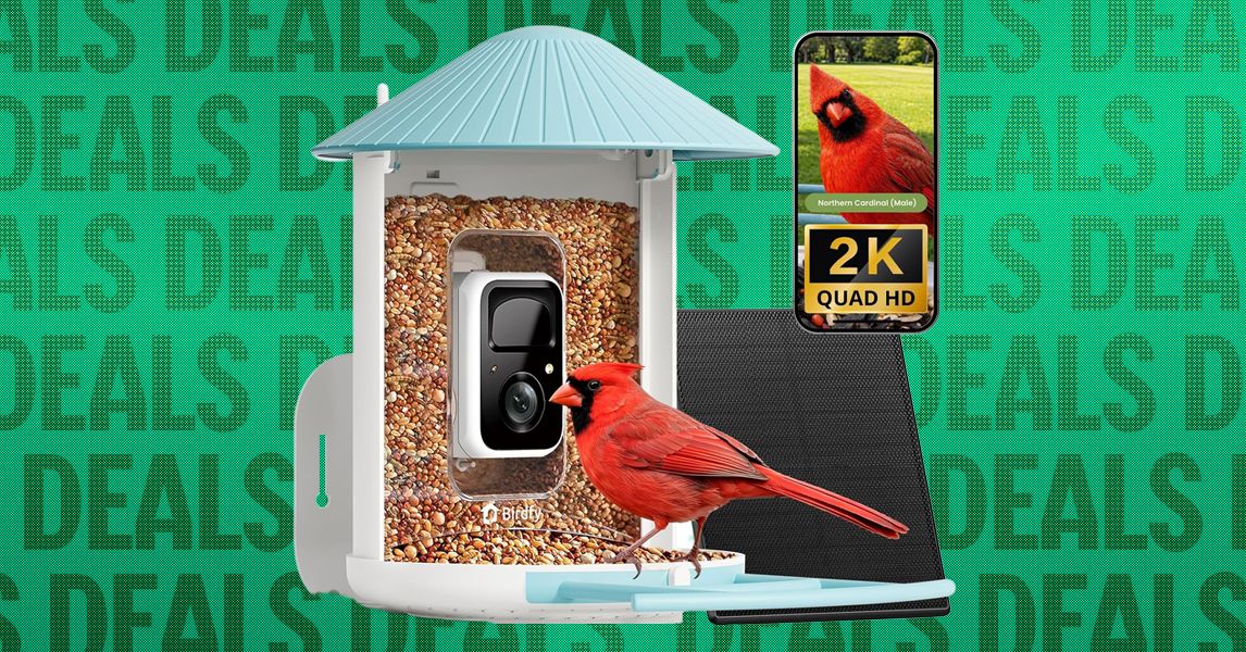 Melhores ofertas de alimentadores inteligentes para pássaros na Black Friday (2026)