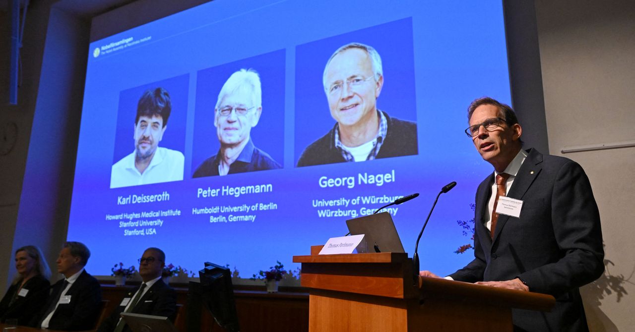 A ciência por trás da tecnologia ganhadora do Nobel que controla neurônios com luz
