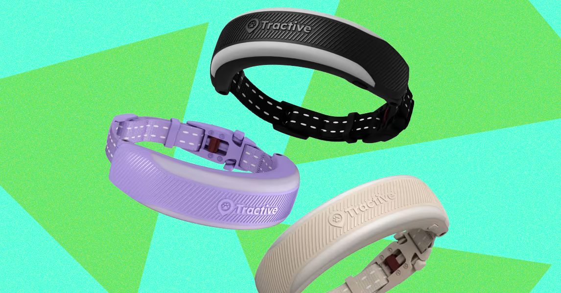 Mini revisão do Tactive Cat 6: um Fitbit para o seu gato