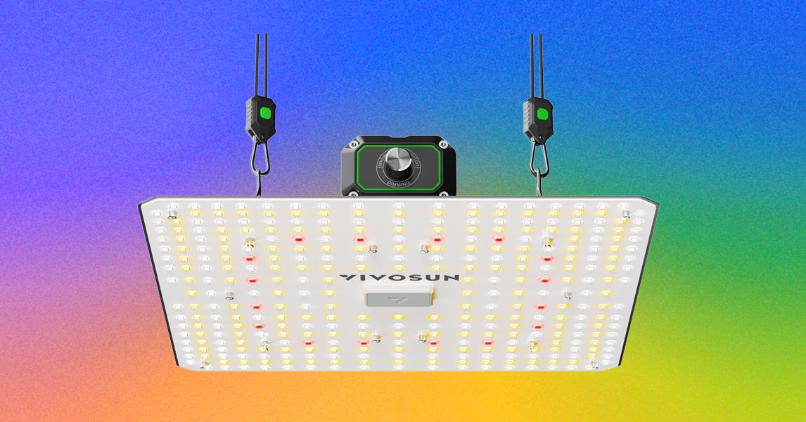 As melhores luzes LED de cultivo para plantas domésticas neste inverno (2026)