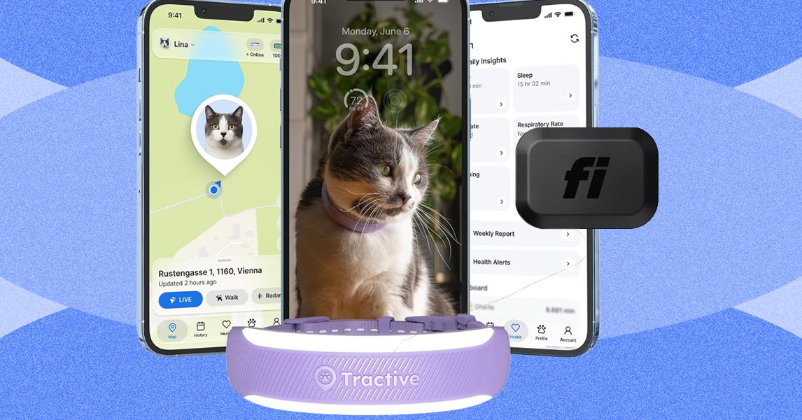 Melhores rastreadores inteligentes de gatos de 2026: Fi Mini vs.